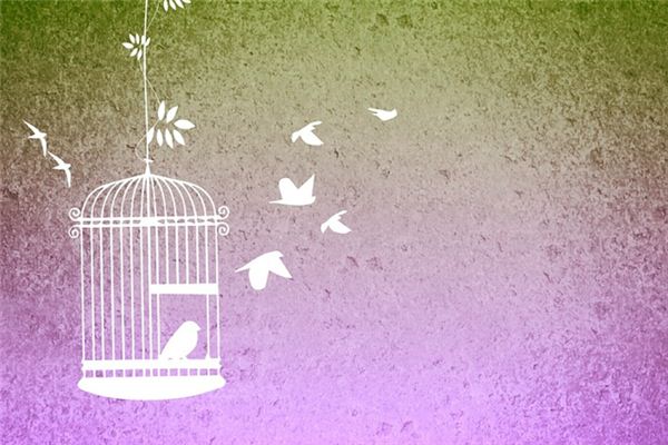 What does it mean to dream of a birdcage? What does it mean to dream of a birdcage?