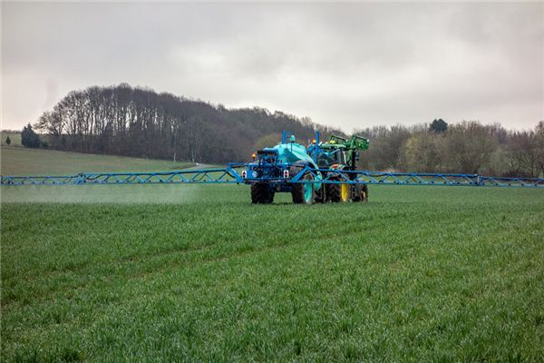 What does it mean to dream about fertilizer? What does it mean to dream about fertilizer?