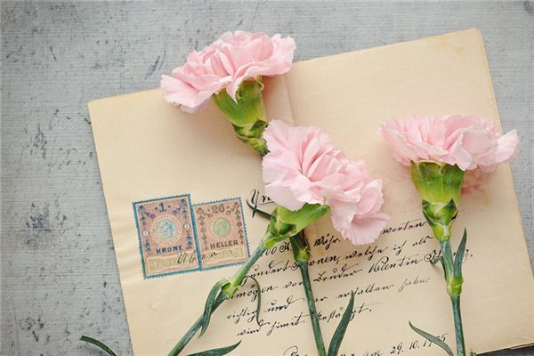 What does it mean to dream of an envelope? What does it mean to dream of an envelope?