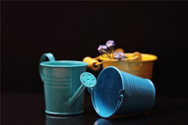 What does it mean to dream of a bucket? What does it mean to dream of a bucket?