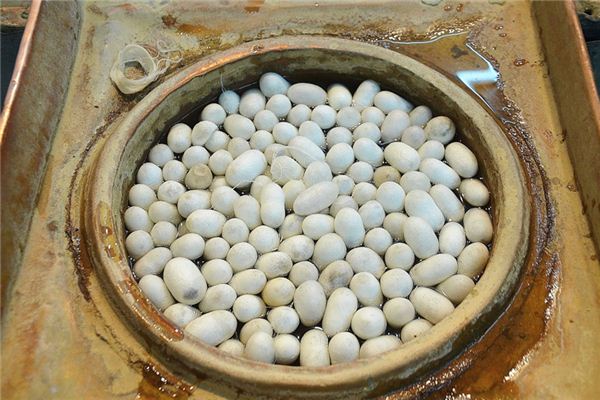 What does it mean to dream of silkworm trays? What does it mean to dream of silkworm trays?