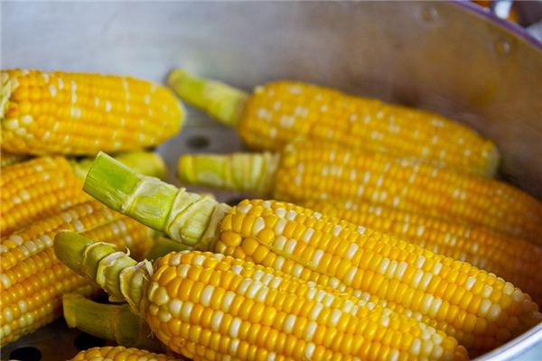 What does it mean to dream of cornmeal? What does it mean to dream of cornmeal?