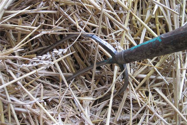 What does it mean to dream of a pitchfork? What does it mean to dream of a pitchfork?