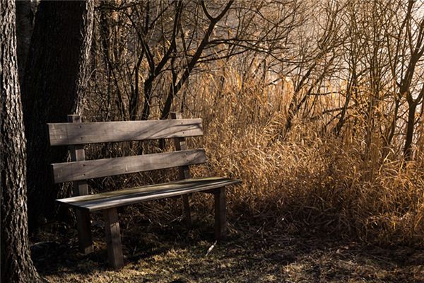 What does it mean to dream about a seat? What does it mean to dream about a seat?