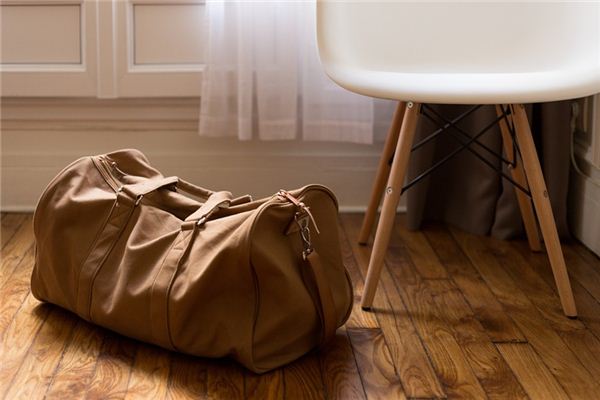 What does it mean to dream of a travel bag?