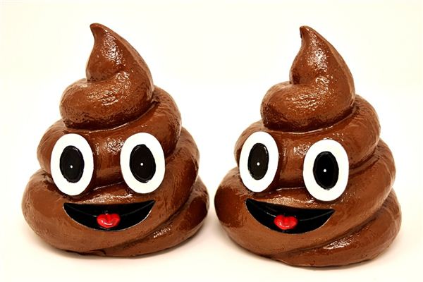 What does it mean to dream of feces?