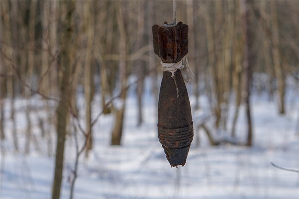 What does it mean to dream of ammunition cartridges? What does it mean to dream of ammunition cartridges?