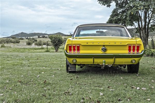 What does it mean to dream about a bumper? What does it mean to dream about a bumper?