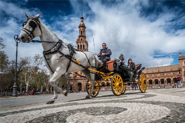 What does it mean to dream of carriages and horses? What does it mean to dream of carriages and horses?
