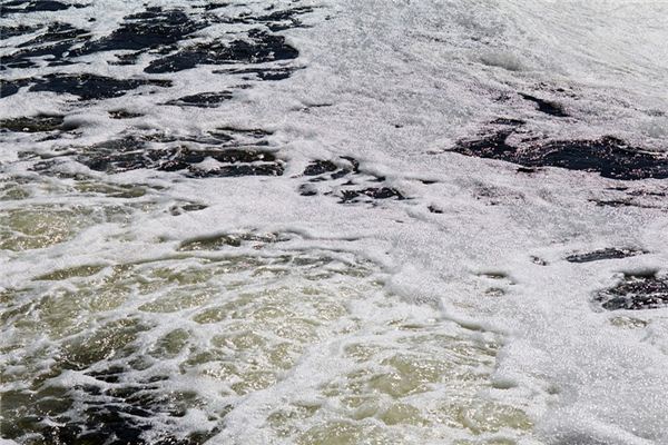 What does it mean to dream of sewage? What does it mean to dream of sewage?