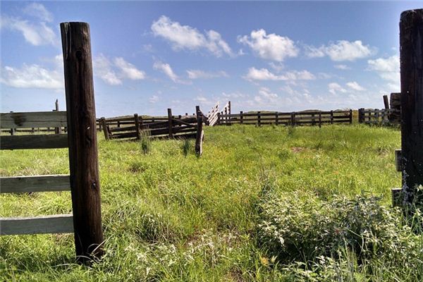 What does it mean to dream of a livestock pen? What does it mean to dream of a livestock pen?