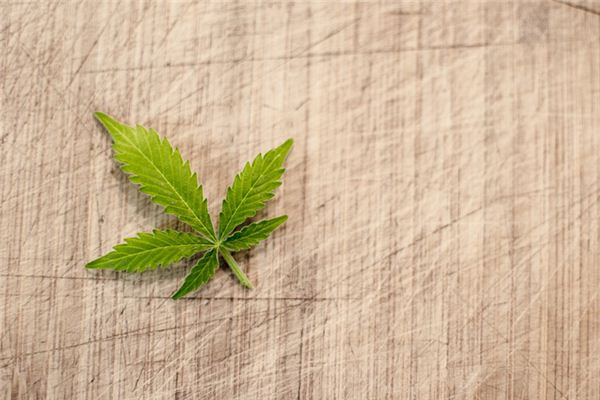 What does it mean to dream of tobacco leaves? What does it mean to dream of tobacco leaves?