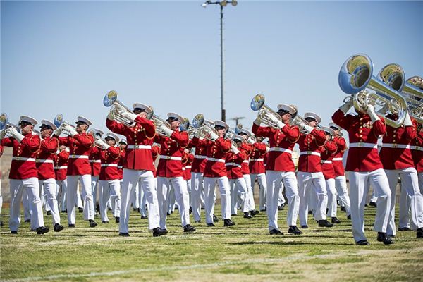 What does it mean to dream of a bugle? What does it mean to dream of a bugle?