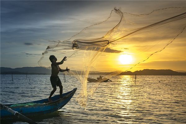 What does it mean to dream of a net? What does it mean to dream of a net?