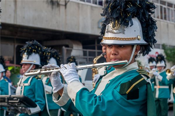 What does it mean to dream of a transverse flute? What does it mean to dream of a transverse flute?