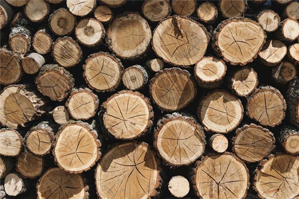 What does it mean to dream of wooden stakes? What does it mean to dream of wooden stakes?