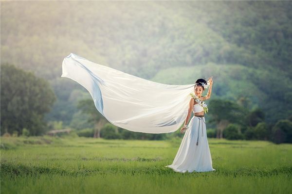 What does it mean to dream of a formal dress? What does it mean to dream of a formal dress?