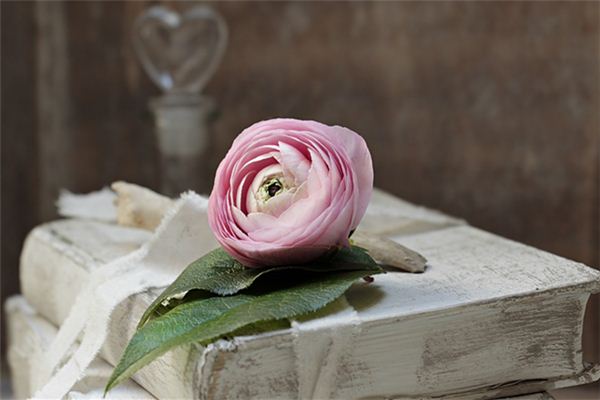 What does it mean to dream of old things from the past? What does it mean to dream of old things from the past?