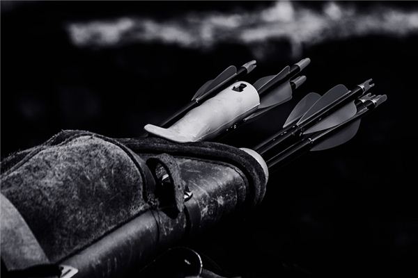 What does it mean to dream of a quiver? What does it mean to dream of a quiver?