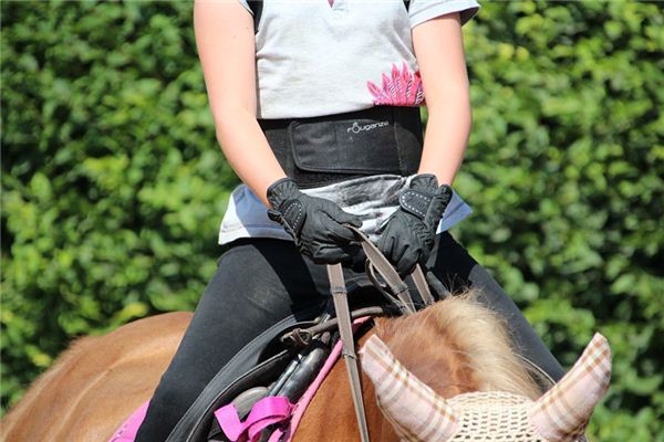 What does it mean to dream of reins? What does it mean to dream of reins?