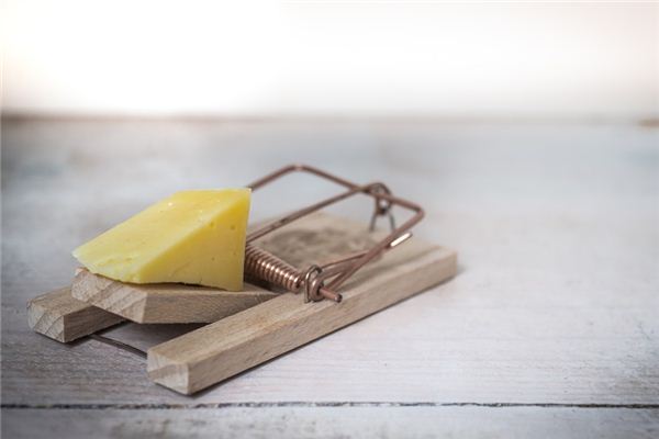 What does it mean to dream of a mousetrap? What does it mean to dream of a mousetrap?