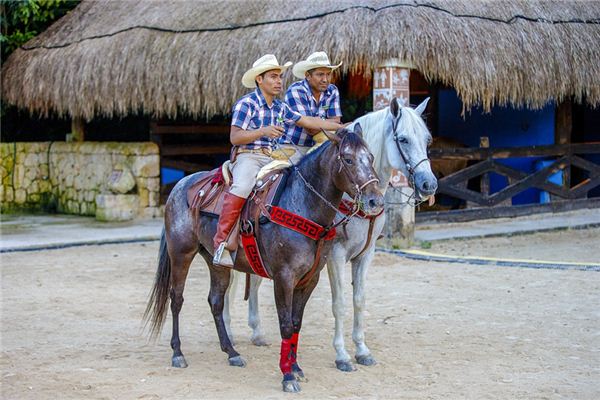 What does it mean to dream of a horse bit? What does it mean to dream of a horse bit?
