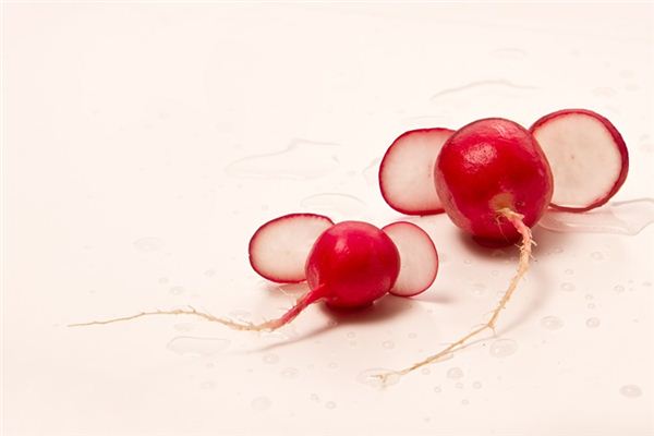 What does it mean to dream of dried radish? What does it mean to dream of dried radish?