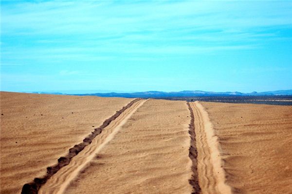 What does it mean to dream of wheel tracks? What does it mean to dream of wheel tracks?