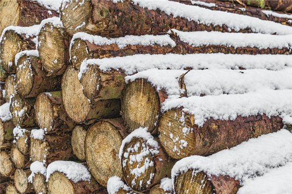 What does it mean to dream of wood? What does it mean to dream of wood?