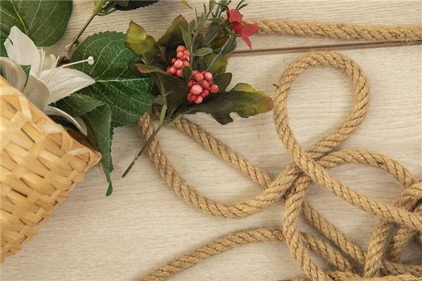 Dreaming of ropes