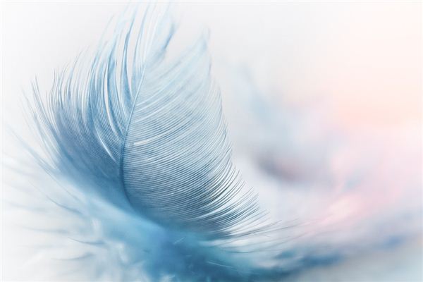 What does it mean to dream of large feathers? What does it mean to dream of large feathers?
