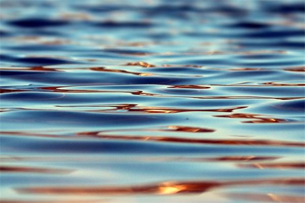 What does it mean to dream of ammonia? What does it mean to dream of ammonia?