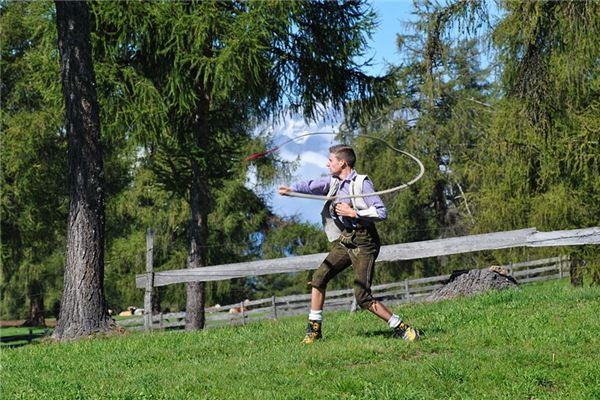 What does it mean to dream of a whip? What does it mean to dream of a whip?