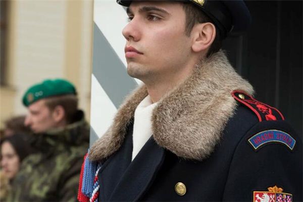 What does it mean to dream of epaulettes? What does it mean to dream of epaulettes?