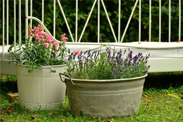 What does it mean to dream of basins and buckets? What does it mean to dream of basins and buckets?