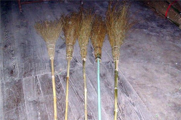 Dreaming of brooms