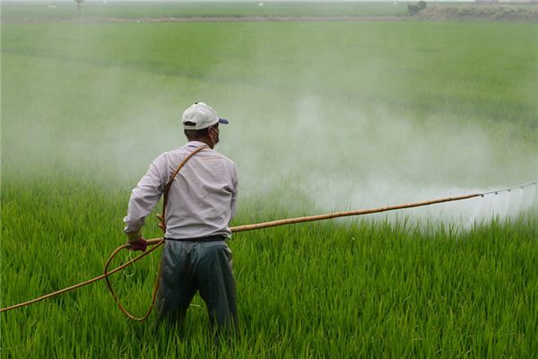 What does it mean to dream about pesticides? What does it mean to dream about pesticides?