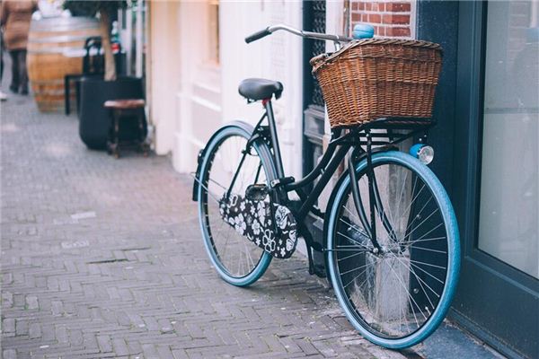 Dreaming of bicycles