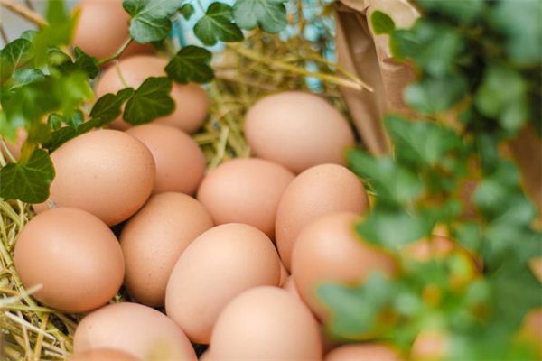I dreamed of picking up a lot of eggs