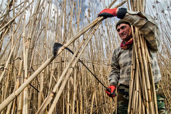 What does it mean to dream of a large scythe? What does it mean to dream of a large scythe?