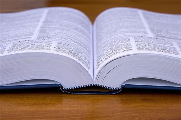What does it mean to dream of a dictionary? What does it mean to dream of a dictionary?