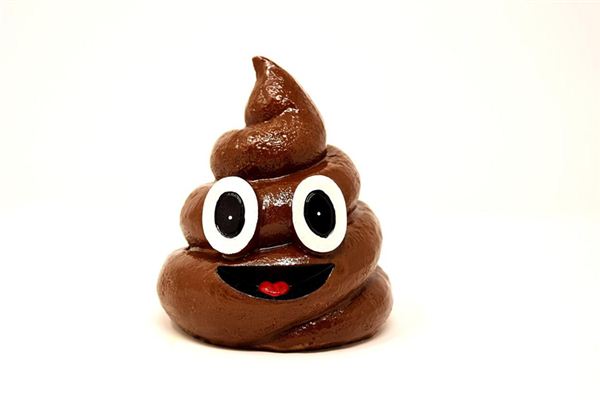 Dreaming of your own feces