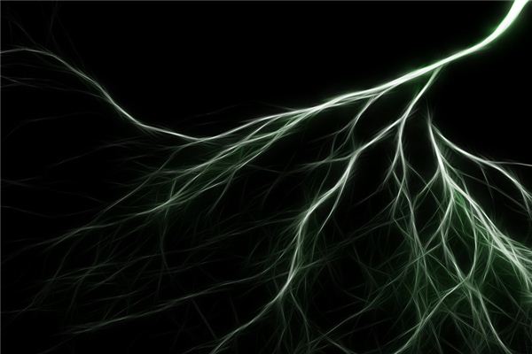 What does it mean to dream of thunder seal script? What does it mean to dream of thunder seal script?