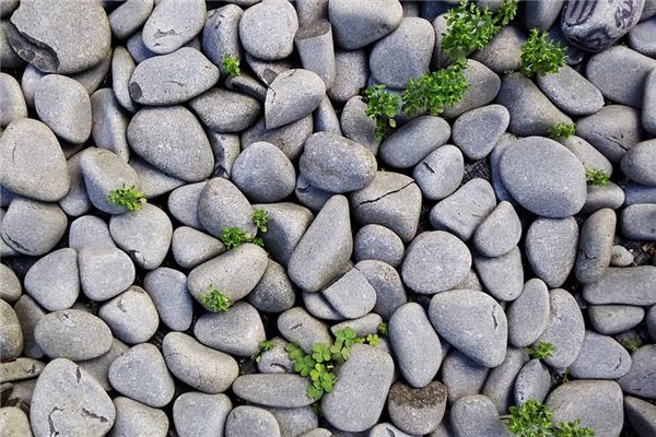 What does it mean to dream of pebbles? What does it mean to dream of pebbles?