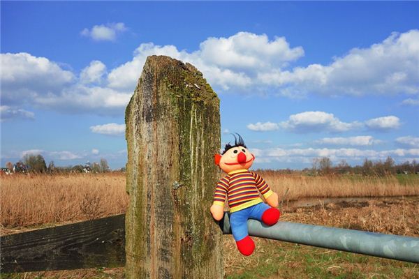 What does it mean to dream of a rag doll? What does it mean to dream of a rag doll?
