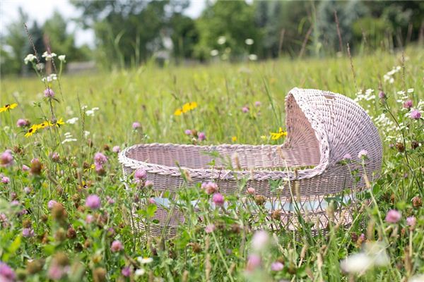 What does it mean to dream of a cradle? What does it mean to dream of a cradle?
