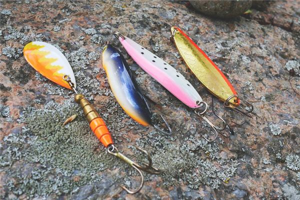 What does it mean to dream of a fishhook? What does it mean to dream of a fishhook?