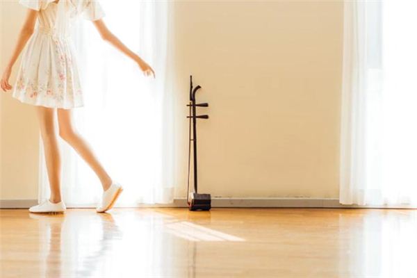 What does it mean to dream of a erhu? What does it mean to dream of a erhu?
