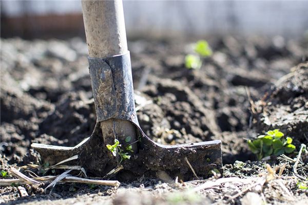 What does it mean to dream of a mud shovel? What does it mean to dream of a mud shovel?