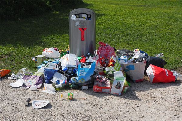What does it mean to dream of a trash can? What does it mean to dream of a trash can?